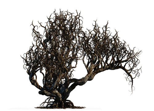 3d rendering of fantasy death tree isolated