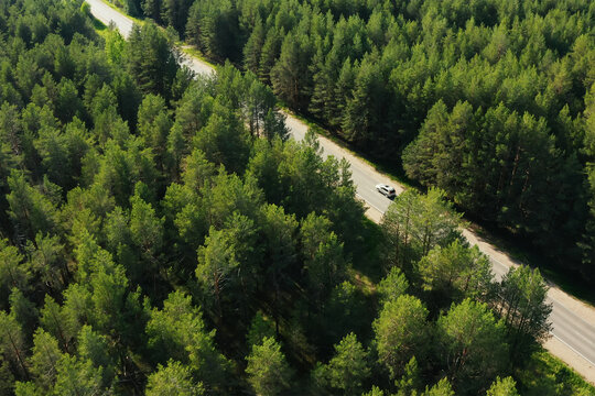 Aerial top view of traffic on summer forest road. Asphalt road with moving car in sunset. Crossover car moving on road in beautiful green coniferous forest, drone shot