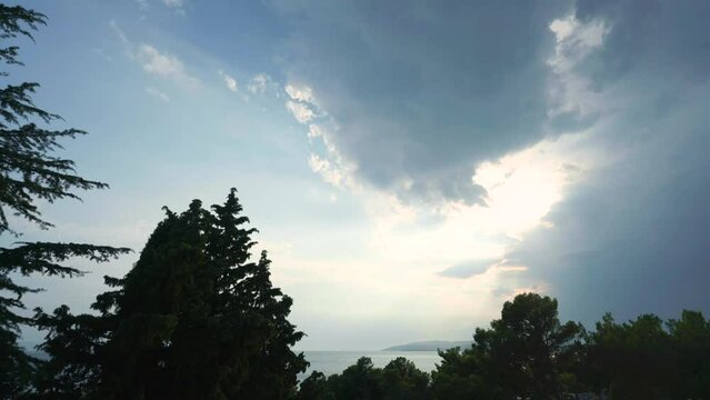 Time lapse footage of beautiful evening dramatic clouds over a sea in Dalmacia seaside. Shot is framed with pine trees in a front.
