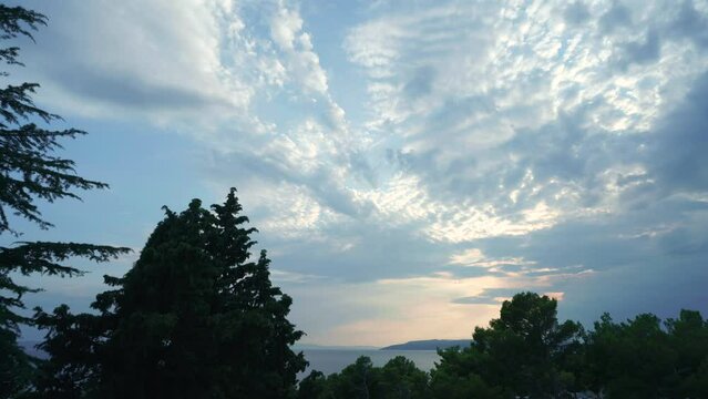 Time lapse footage of beautiful evening dramatic clouds over a sea in Dalmacia seaside. Shot is framed with pine trees in a front.