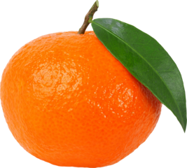 Mandarin orange with leaf
