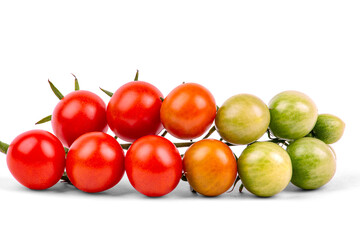 Red and green tomatoes on a branch, isolated on a white background, close-up