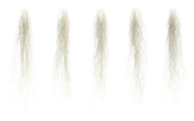 3d rendering of spanish moss isolated