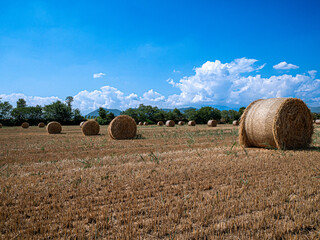 bales of hay