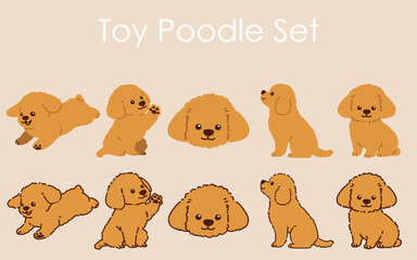 Simple and adorable Toy Poodle illustrations set