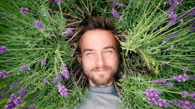 Camera spinning and moving down to young handsome bearded man lying among lavander flowers in blossom field. Happy smiling guy relax on the grass on sunny summer day. Freedom, love nature concept.