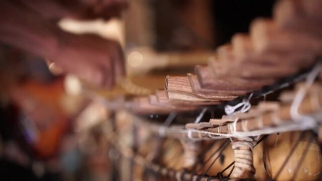 Street musician plays xylophone live