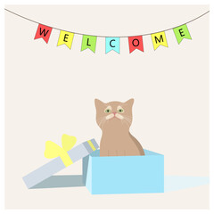 Welcome sign with colorful flags on rope and a little kitten in a box