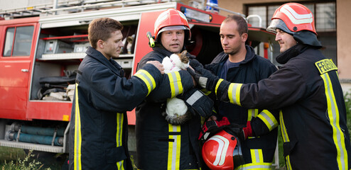 firefighters group in a protective suit and red helmet holds saved cat in his arms. Firefighter in fire fighting operation. 