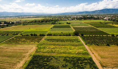High angle view of agricultural fields in Kakheti, Georgia