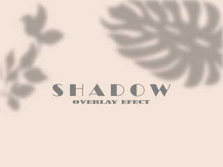 vector shadow overlay.window and leaves shadow overlay design template vector realistic shadow overlay.