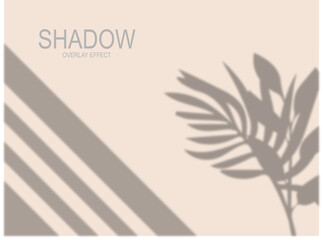 window and leaves shadow overlay design template vector realistic shadow overlay.
