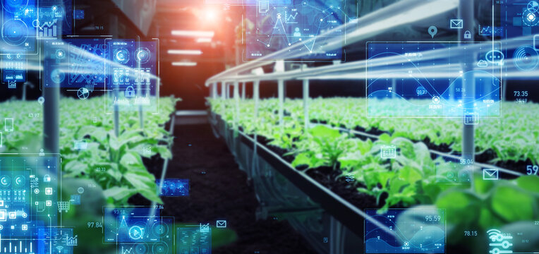 Plant factory and technology. Wide image for banners, advertisements. - Powered by Adobe