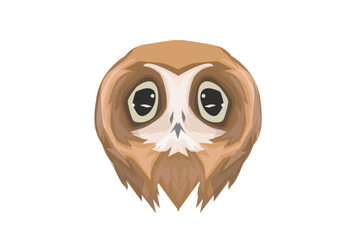 owl face