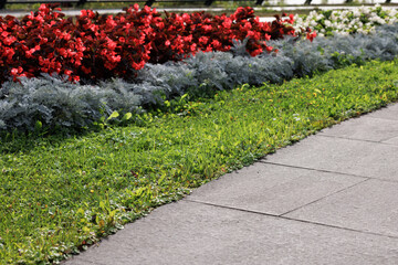 Flower border along the stone-paved walkway. Selective focus on track.