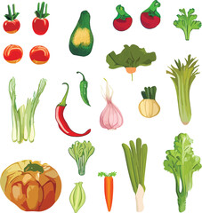 Set of isolated illustrations of vegetables, tomato, greens, onion, garlic