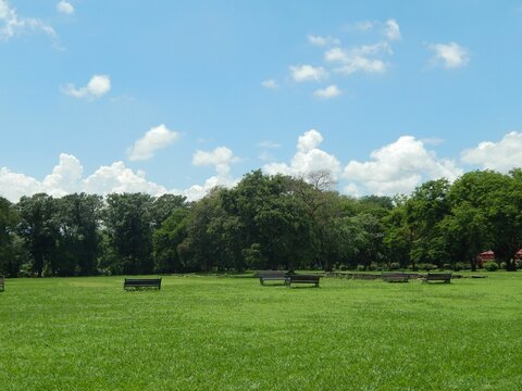 Part Of Weald Country Park In Brentwood With Green Meadow, Trees And Blue Sky In The Background