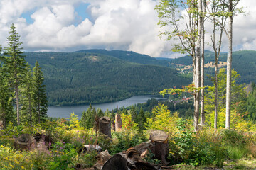 View over the German Schluchsee in the Black Forest with forest and clouds
