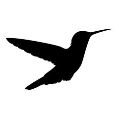 Silueta de colibrí volando aislada