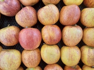 close-up shot of neatly arranged red apples