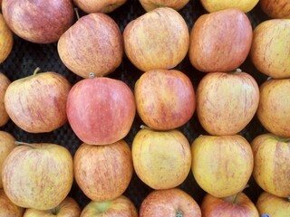 close-up shot of neatly arranged red apples