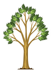 Stage of tree growth. Large tree growth with green leaf and branches. Illustration of business cycle development
