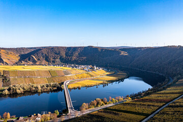 Aerial view, Germany, Rhineland-Palatinate, region Minheim Piesport Bernkastel-Wittlich, .Minheim Piesport , Moselle, vineyards in autumn