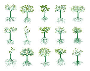 set green trees with roots