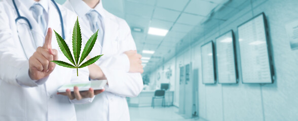 Medical cannabis and doctor. Marijuana therapy concept