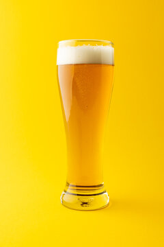 Vertical image of full pint glass of lager beer on yellow background, with copy space