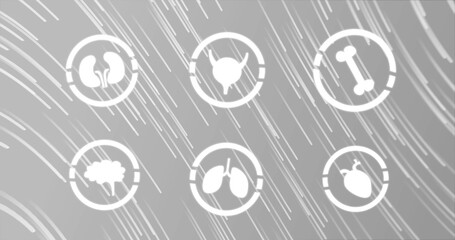 Image of human body icons over grey background with lines