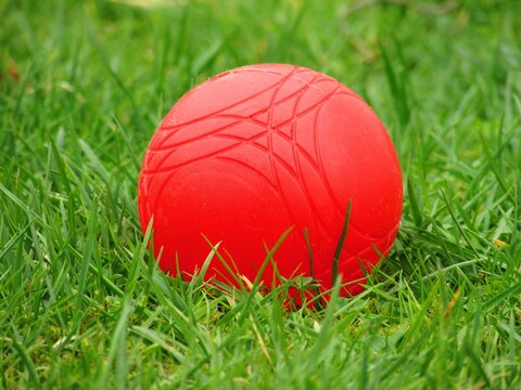 Red Round Ball In The Green Grass Of The Park