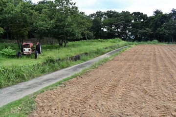 ハーブ園、こわれたトラクター、小屋、雑草、開墾