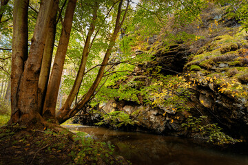 Nature reserve Zidova strouha (Židova strouha - in czech) near city Bechyne. Czech republic.