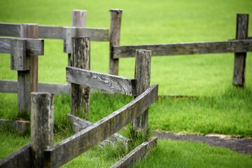 芝生、放水栓、ゴルフ、フェアウェイ、ラフ