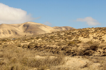 Landscape of the Canary Islands. Fuerteventura, Spain