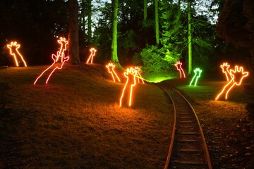 Light art installations in the form of giraffes at Grugapark