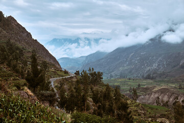 Landscape. Colca Canyon in the Andes, Peru.