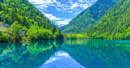 Landscape of a pond with green lush trees in the background
