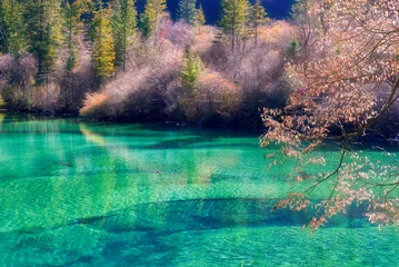 Landschaft eines Teiches mit Reflexionen auf der Oberfläche und Waldbäumen im Hintergrund © Lanffier Yang/Wirestock Creators