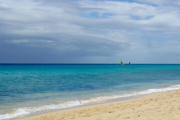Fototapeta na wymiar Windsurfing on the coast of the Atlantic Ocean. Canary Islands. Fuerteventura, Spain