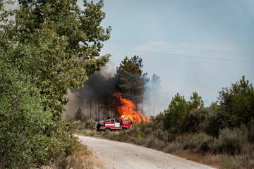 Bombeiros florestais a combater um incêndio florestal junto à sua viatura em Portugal - obrazy, fototapety, plakaty