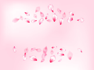 Pink sakura petals confetti flying and falling