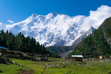 Mooie foto van de sprookjesweiden van het Behal-dorp met de Nanga Parbat-bergen op de achtergrond