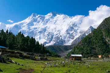 Washable wall murals Nanga Parbat Beautiful shot of Behal village fairy meadows with nanga parbat mountains in the background