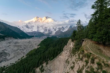 Photo sur Plexiglas Nanga Parbat Beautiful shot of trees and Rakhiot glacier and Nanga Parbat in karakoram ,Pakistan