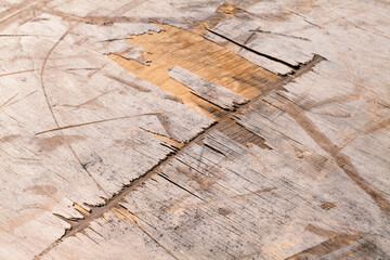 Texture di legno al sole con graffi e tagli