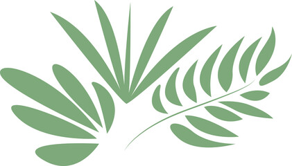 leaves of different shapes, png