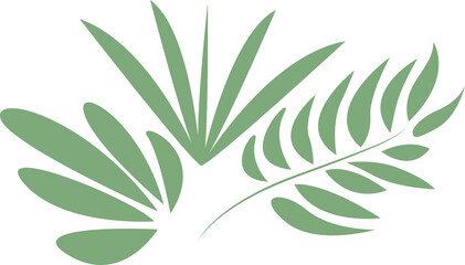 Fototapeta premium leaves of different shapes, png