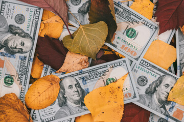One hundred dollar bills in autumn foliage. US dollars bills sitting on a fall leaf background,...